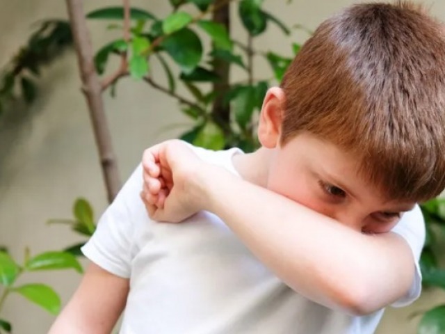 Coqueluche: alerta epidemiolgica en la provincia de Buenos Aires